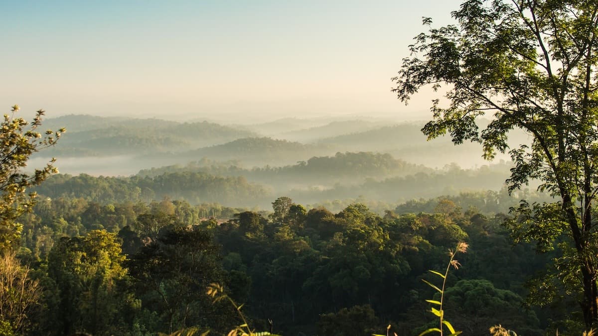 Coorg in the monsoon — why you should go when everyone says don't